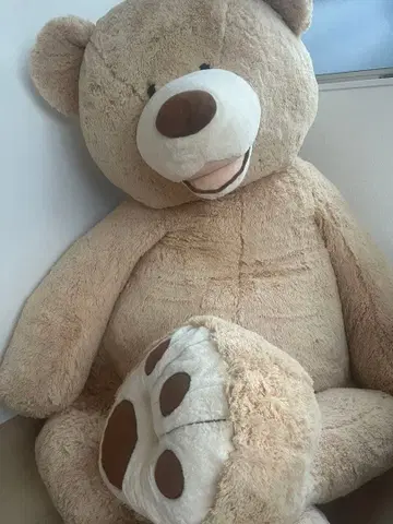 코스트코 곰 봉제 인형 93인치