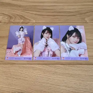 사사키 마이카 고양이 의상 컴프