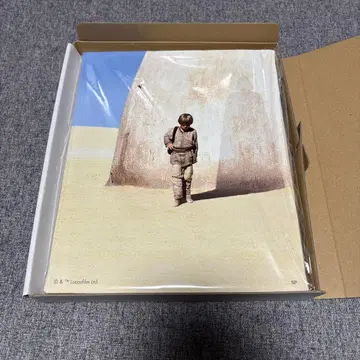 스타 워즈 캔버스 아트 보드 아나킨