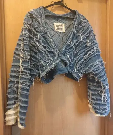 Levi's 리메이크 데님 자켓 BLACKPINK LISA 착용