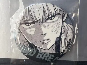 WINDBREAKER 윈브레 namco 남코 특전 캔뱃지