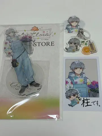 스트그라 겨울 후나 ColorFloraPUS