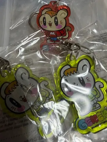 제 고양이 키링 시라하마 아란 사노 레오