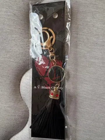 Acid Black Cherry 키링 2015