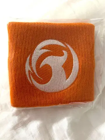 참정당 리스트 밴드