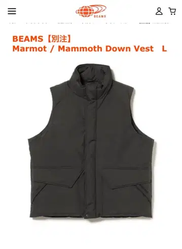 BEAMS 별주 Marmot / Mammoth 다운 베스트