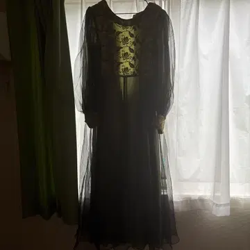 자수 포함 시스루 드레스