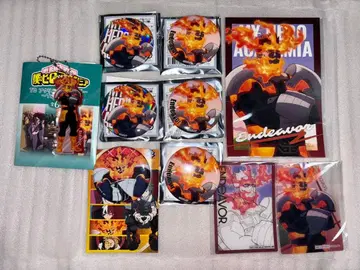 엔데버 캔뱃지 9개 세트