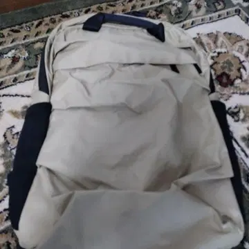 미사용 새상품 DANSKIN 베이지 백팩