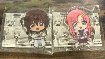 건담 SEED 카도 캐릭터