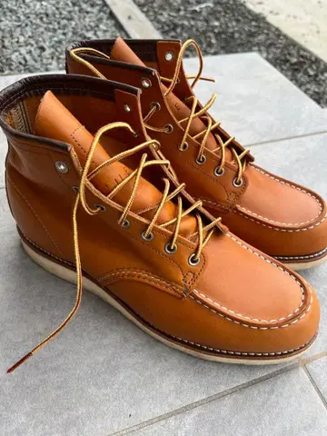 단종 레드윙 9875 아이리쉬 세터 골드러셋 세쿼이아