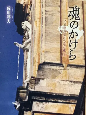 혼의 조각 : 한 물리학자의 신비 체험