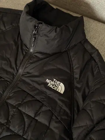 THE NORTH FACE Urban Exploration M (A.L)