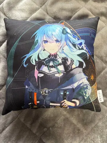 ZOZOTOWN x 호시마치 스이세이 콜라보 굿즈