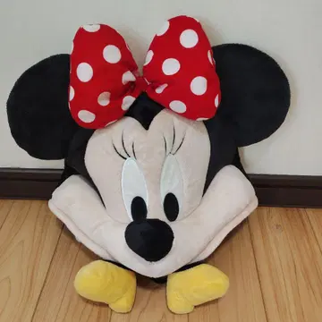 디즈니 미니 팬캡