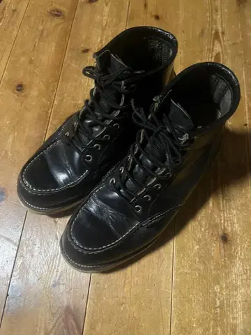 레드윙 아이리쉬 세터 개 택 26cm 와이즈 EE