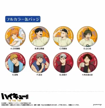 하이큐!! TO THE TOP 캔배지 컬렉션