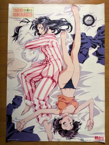 체포하겠어 포스터