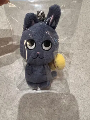 RIIZE 원빈 발렌타인 MD 10cm 인형 봉제 인형 키링