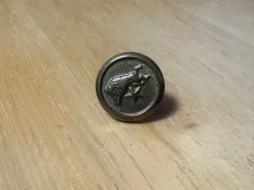 IL BISONTE (일 비손테) 핀 배지