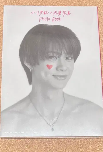 BUDDiiS 포토북 후미노리