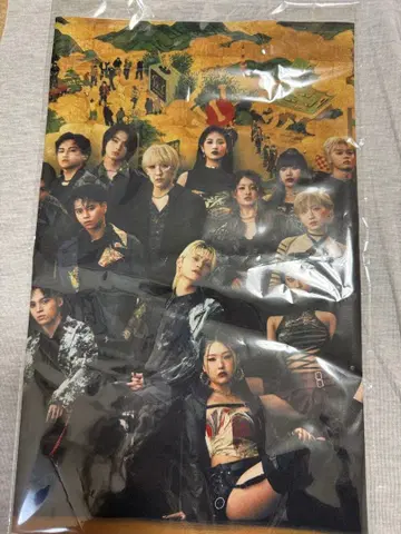 BMSGFES25 패브릭 포스터