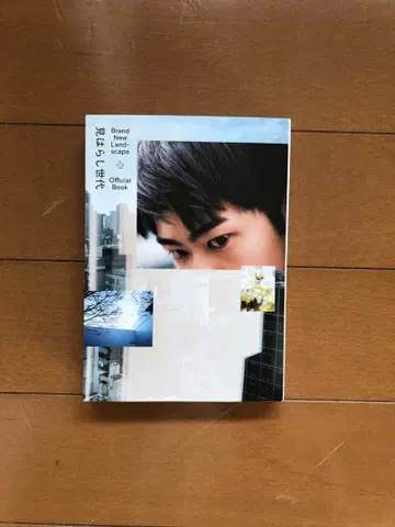 미하라시 세대 팜플렛