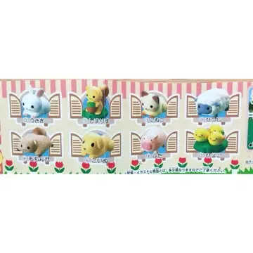 반려동물 박스 전 8종류