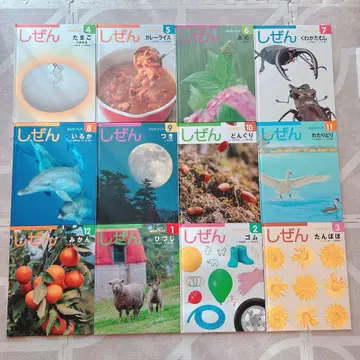 자연 그림책 시리즈 12권 세트