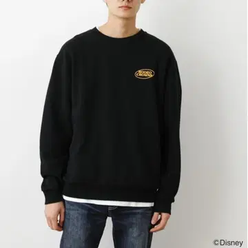 zG510 [L] RODEO CROWNS 리브 트리밍 세트인 슬리브