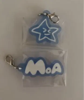 TXT 아크릴 참 범규