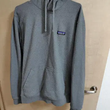 patagonia 그레이 남성용 후드티
