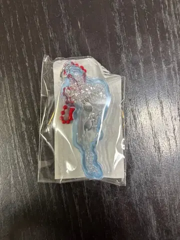 미즈토리 스테이션 비와코 키링 물고기 스카이블루