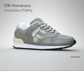 24.5 SANGACIO 뉴즈 [ GRAY ] 10주년 한정판 모델