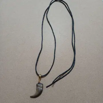 정품 곰 발톱 목걸이 발톱 작음 롱