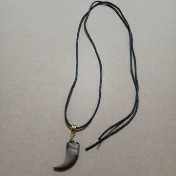 정품 곰 발톱 목걸이 발톱 작음 롱