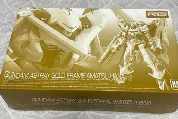 RG 건담 아스트레이 골드 프레임 텐 하