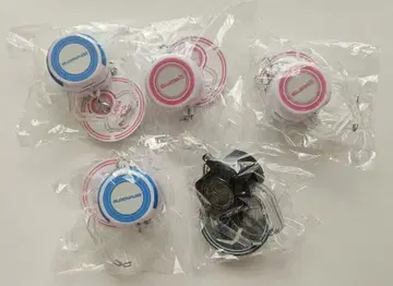 CLENA 클레나 암 키링 5세트