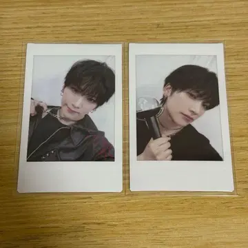 &TEAM YUMA 유마 폴라로이드