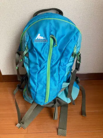 GREGORY 백팩 파랑/그린
