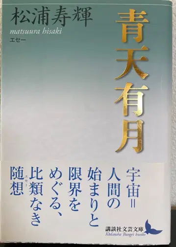 청천유월 마쓰우라 히사키
