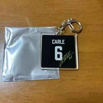 울프도그스 나고야 아크릴 키링 #6 티모시 컬