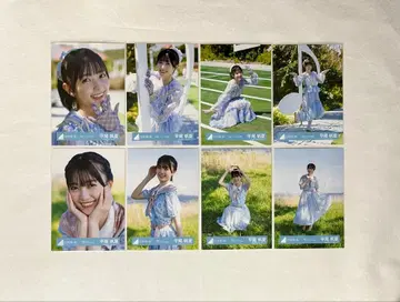 히나타자카46 브로마이드 부탁 바흐 히라오 호노카