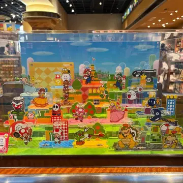 [24시간 이내 발송] 닌텐도 월드 한정판