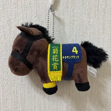 서러브레드 컬렉션 키타산 블랙