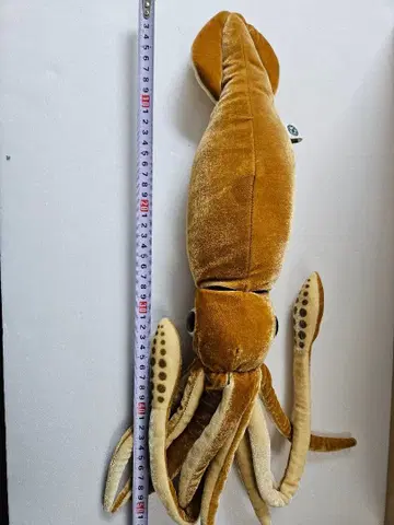 COLORATA 초 리얼 대왕오징어 BIG 봉제 인형
