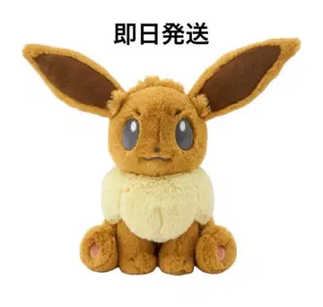 푹신푹신 안고 자는 봉제 인형 이브이 택 포함 미사용