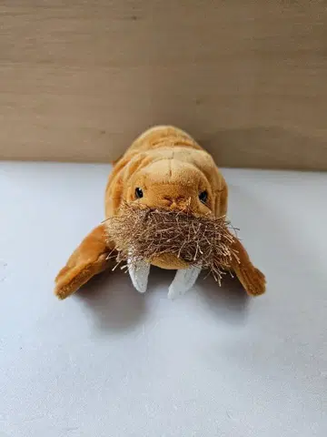 바다코끼리 봉제 인형