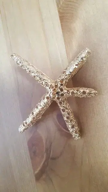 리조트 기분 스타피쉬 머리핀 머리핀 여성용