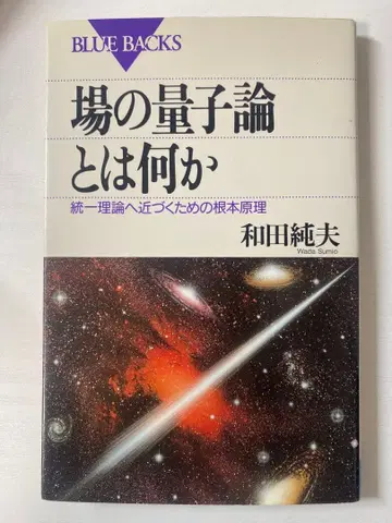 장의 양자론이란 무엇인가 와다 스미오